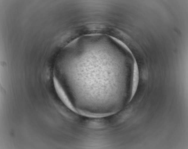 X0000090630567200708071248