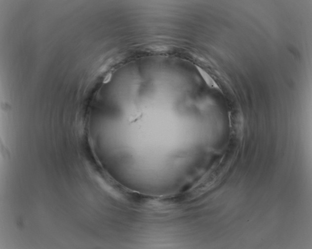 X0000090630568200708071248