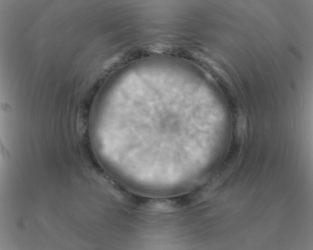 X0000090630569200708071248