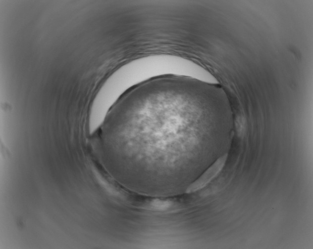 X0000090630570200708071248