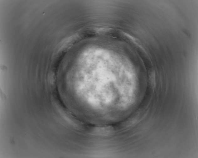 X0000090630571200708071248