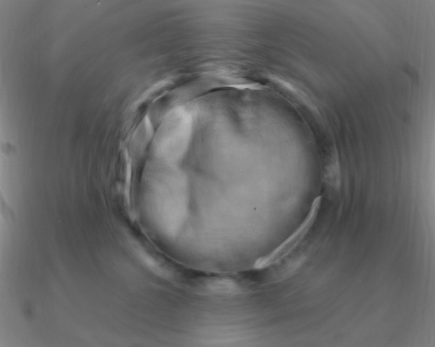 X0000090630572200708071248