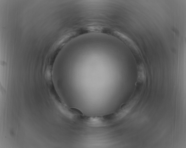 X0000090630573200708071248