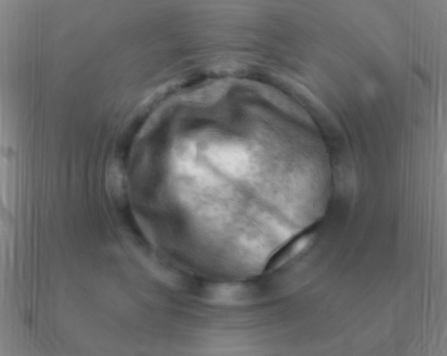 X0000090630575200708071248