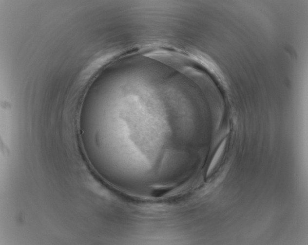 X0000090630577200708071247