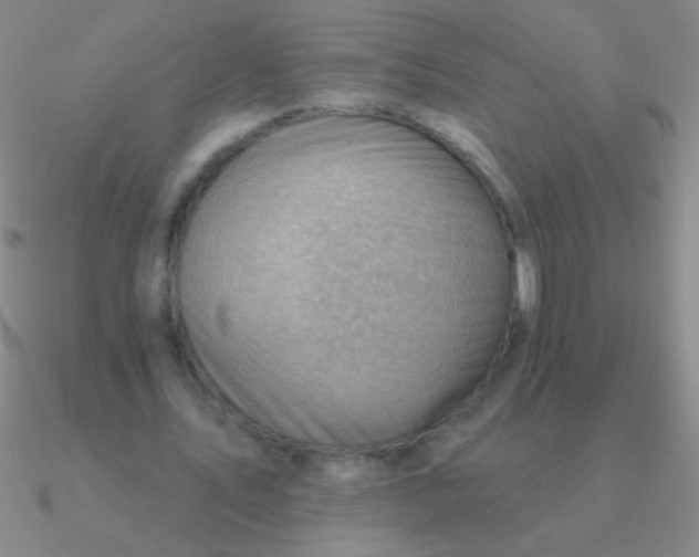 X0000090630579200708071247