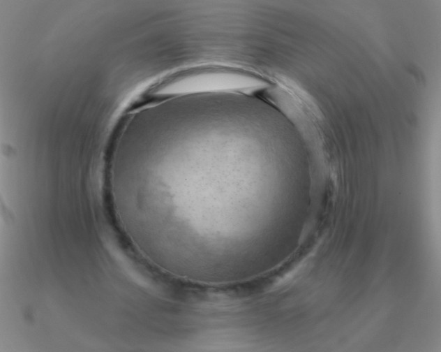 X0000090630580200708071247