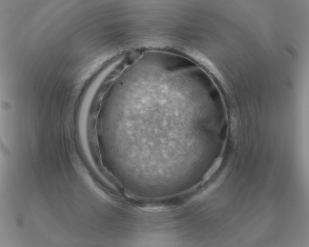 X0000090630581200708071247