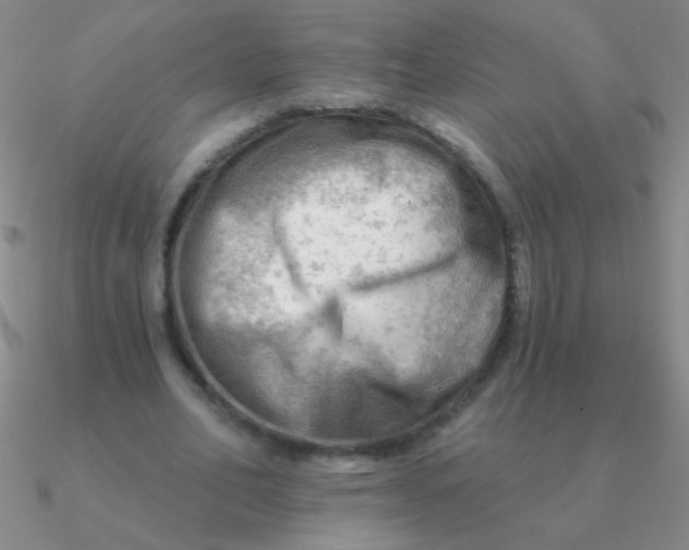 X0000090630582200708071247