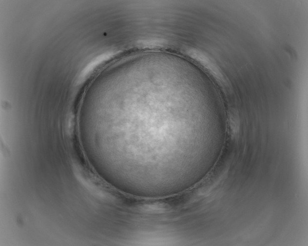 X0000090630583200708071247