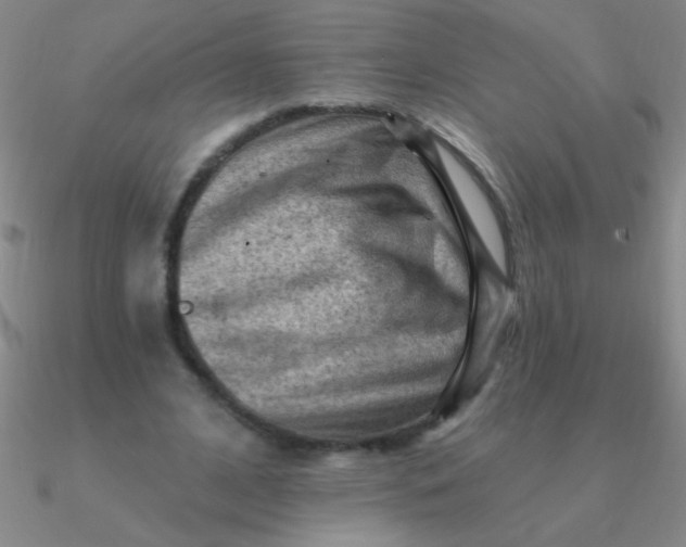 X0000090630584200708071247