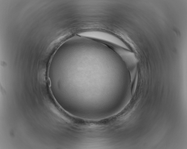 X0000090630585200708071247