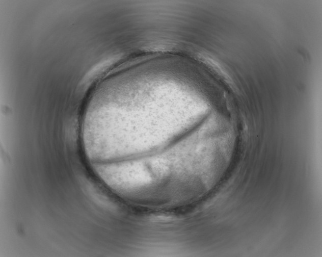 X0000090630586200708071247