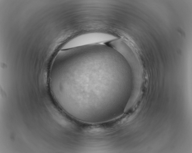 X0000090630589200708071247