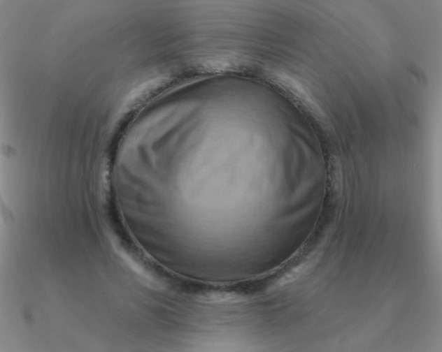 X0000090630590200708071247