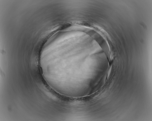 X0000090630593200708071247