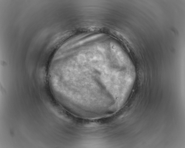 X0000090630594200708071247