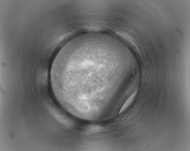 X0000090630596200708071247