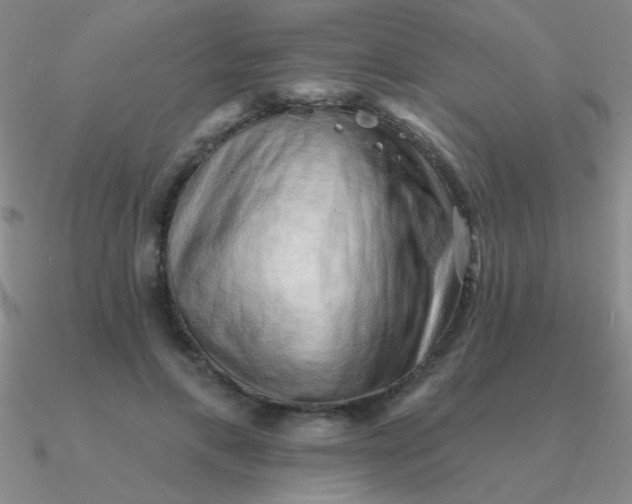 X0000090630597200708071247