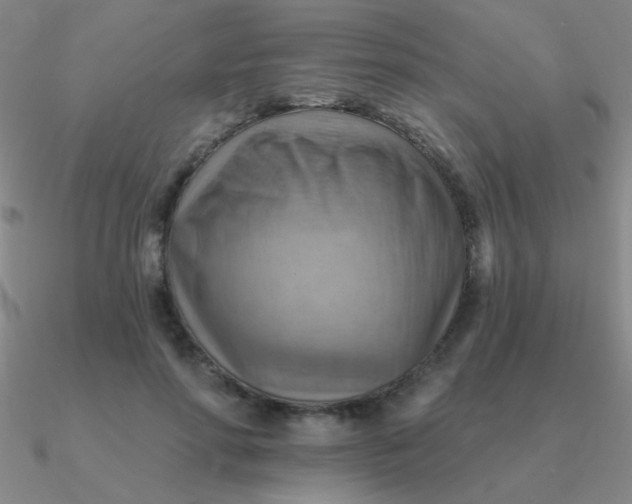 X0000090630598200708071247