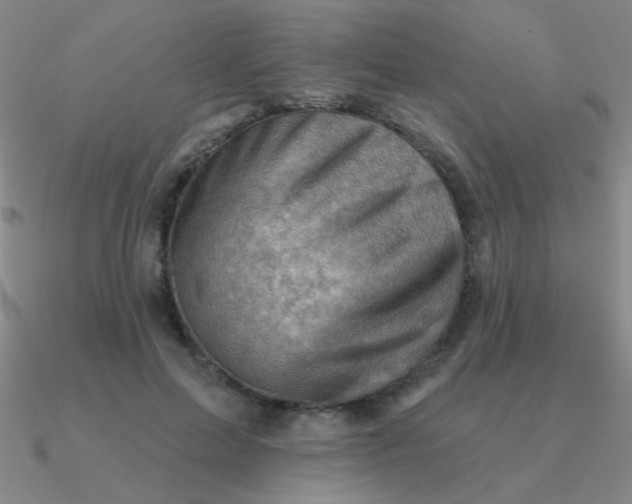 X0000090630599200708071247