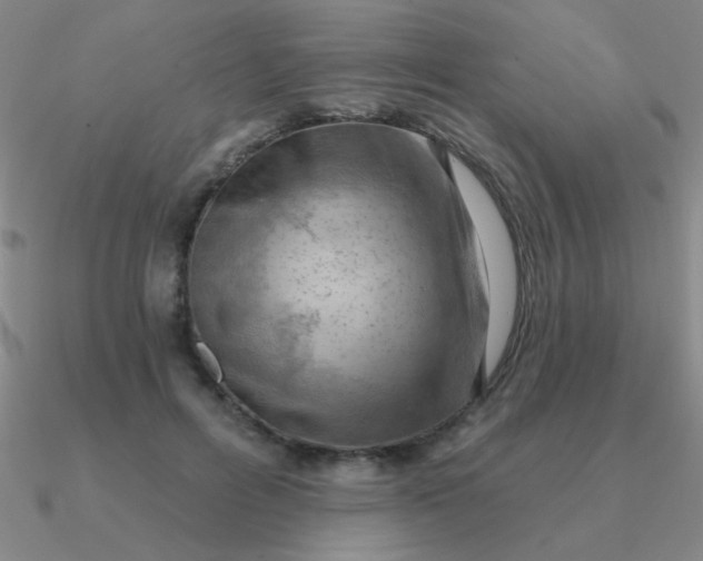 X0000090630600200708071247