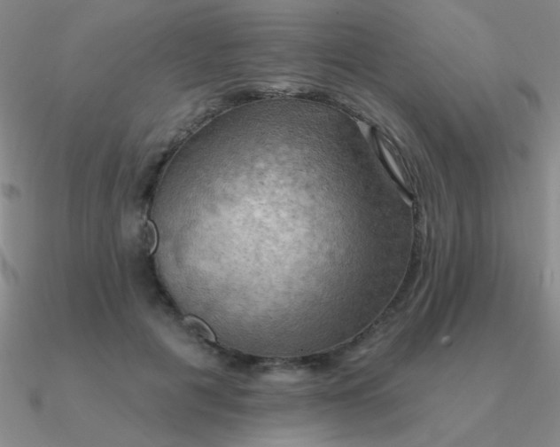 X0000090630601200708071247