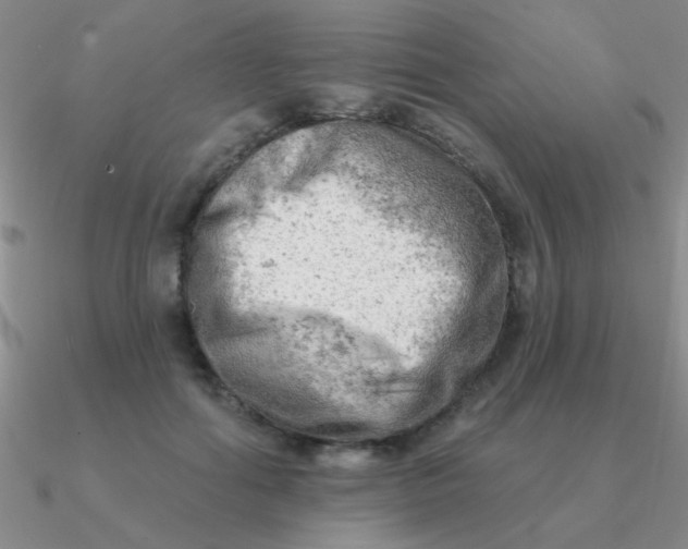 X0000090630602200708071247