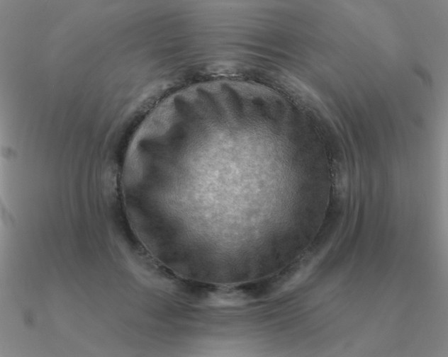 X0000090630603200708071247