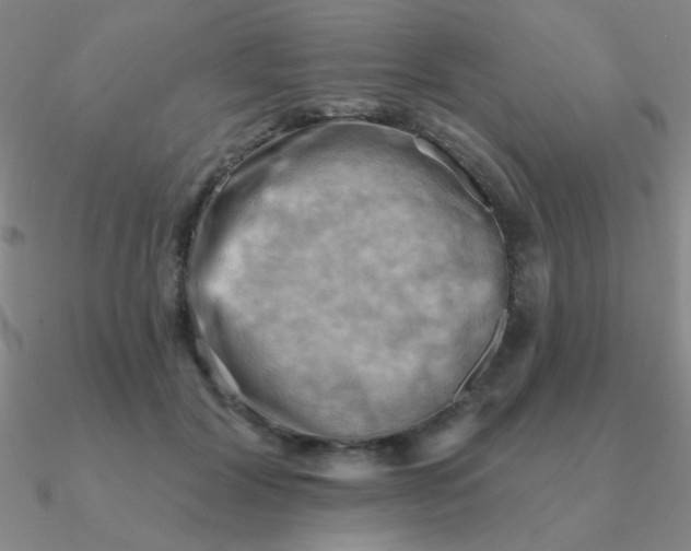 X0000090630604200708071247