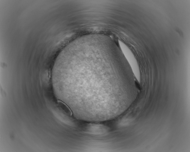 X0000090630605200708071247