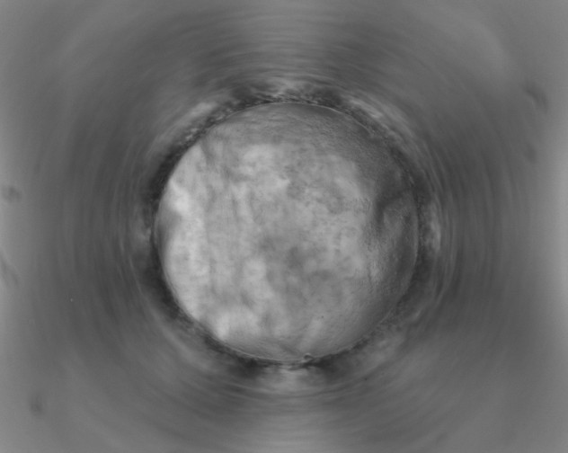 X0000090630607200708071247