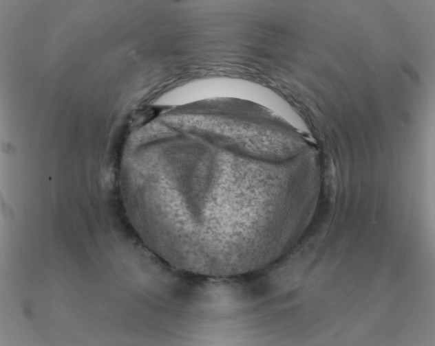 X0000090630608200708071247