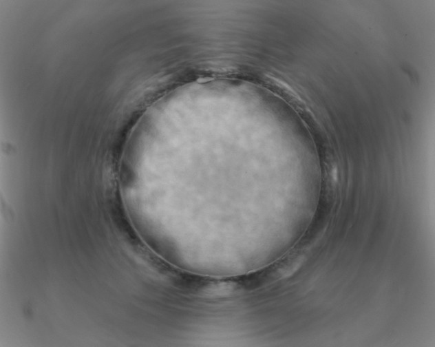 X0000090630609200708071247