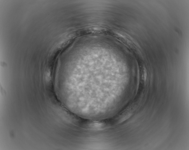 X0000090630610200708071247