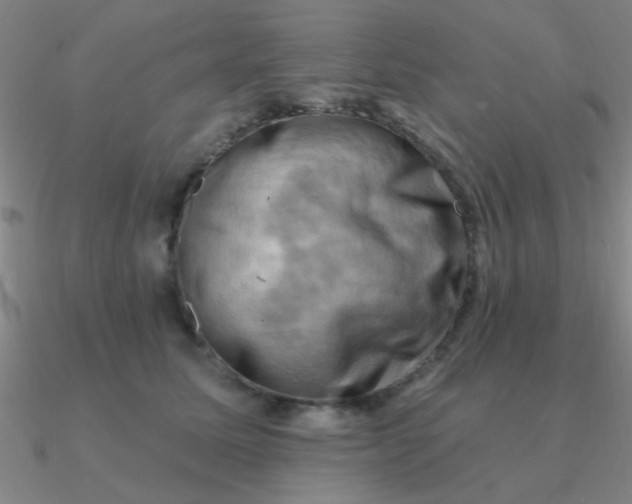 X0000090630611200708071247