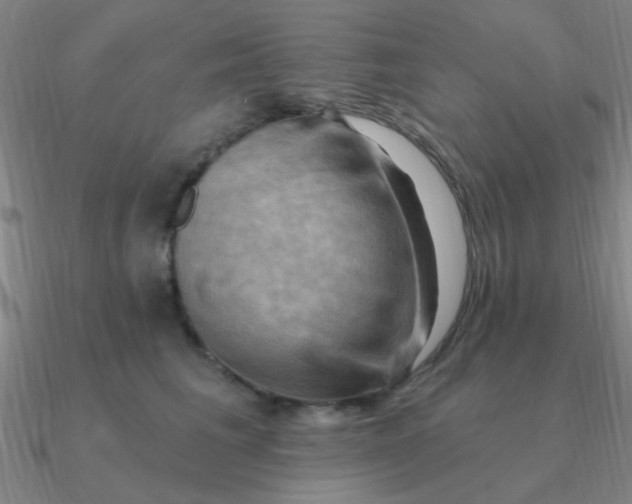 X0000090630613200708071247