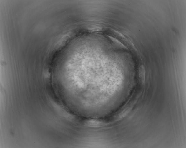 X0000090630614200708071247