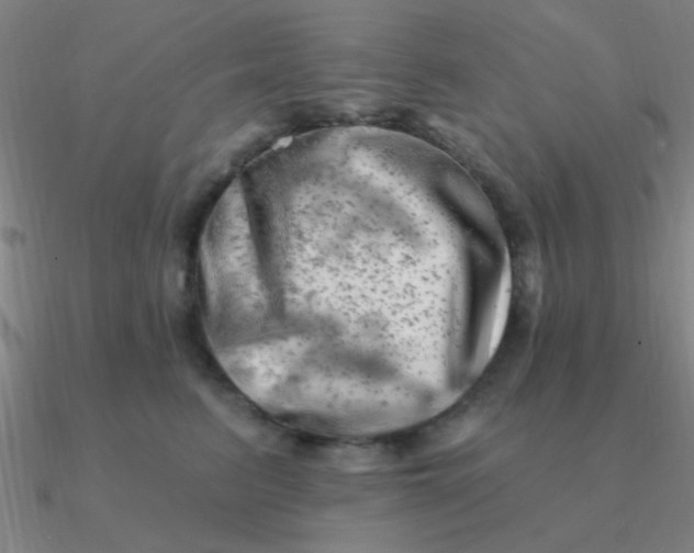 X0000090630615200708071247