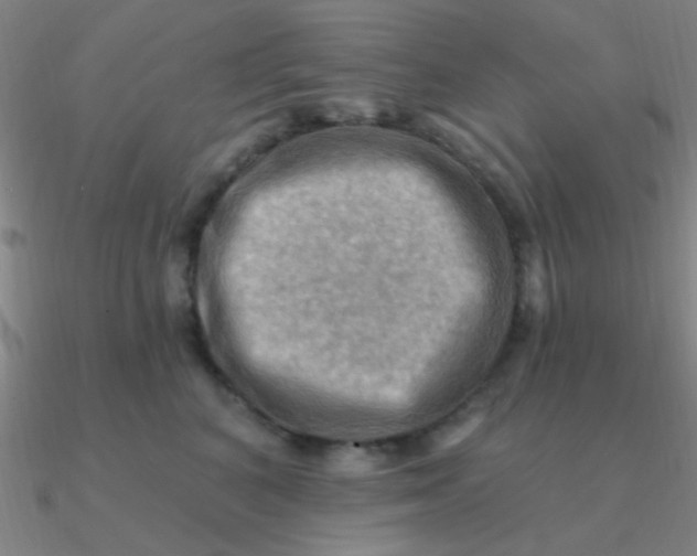 X0000090630616200708071247