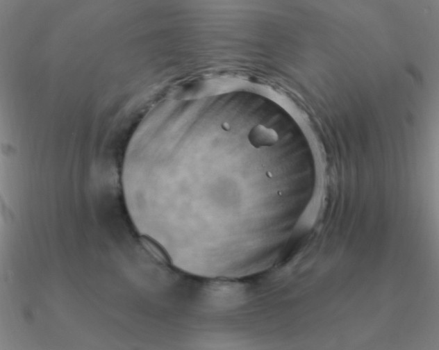 X0000090630617200708071247