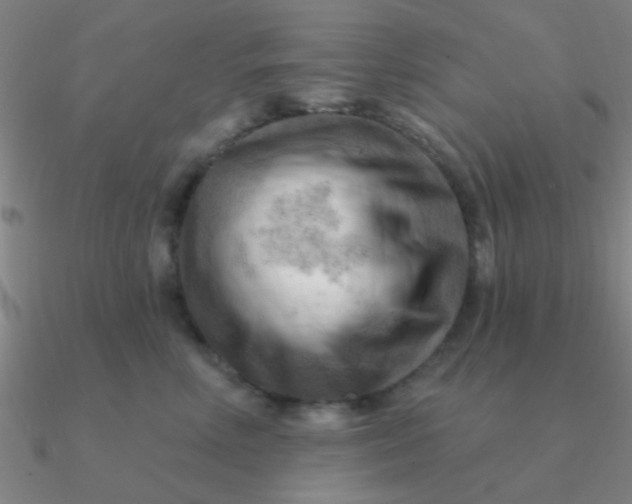 X0000090630618200708071247