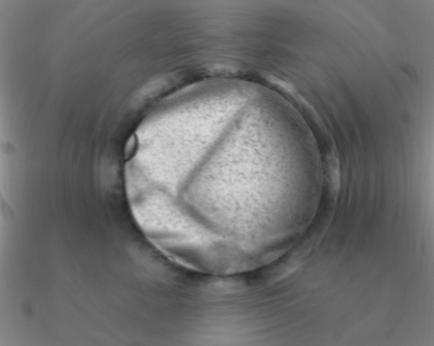 X0000090630619200708071247