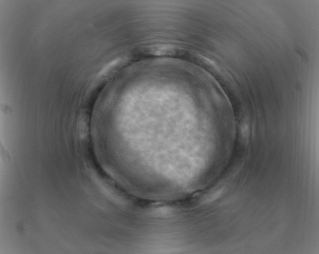 X0000090630620200708071247