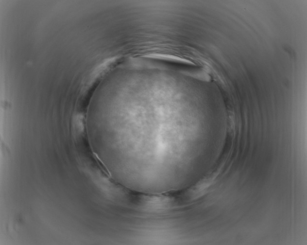 X0000090630621200708071247