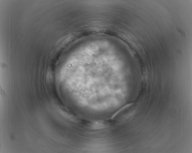 X0000090630623200708071247