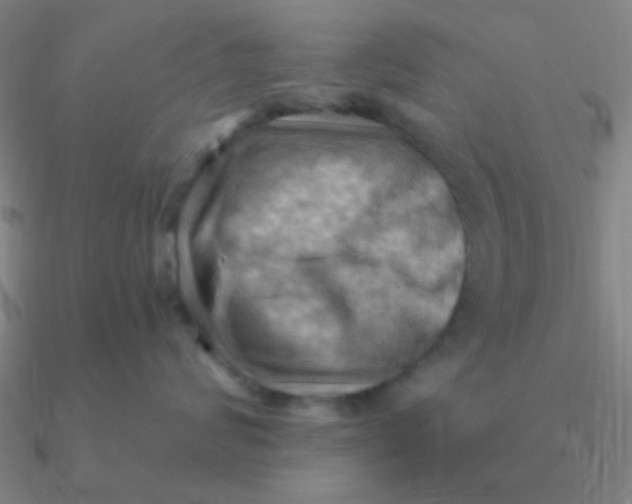 X0000090630624200708071247