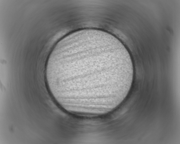 X0000090630625200708071246