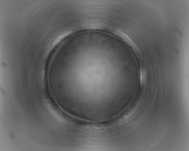 X0000090630627200708071246