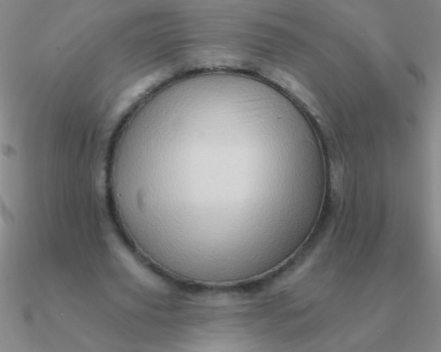 X0000090630629200708071246